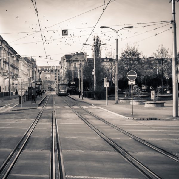 Siyah Beyaz Fotoğraf Baskı: Galata