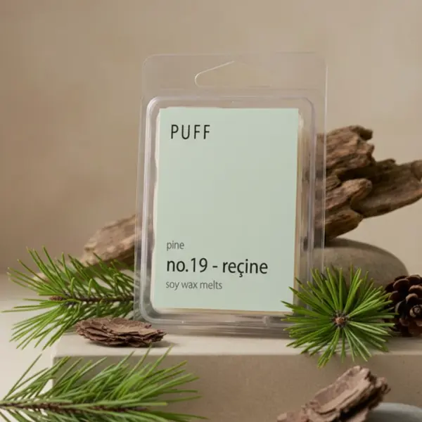 No.19 – Reçine | Çam Kokulu Buhurdanlık Mumu